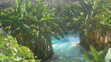 Chambre avec petit d�jeuner �/en/au marrakech (Marrakech)ou appartement ou maison de vacances