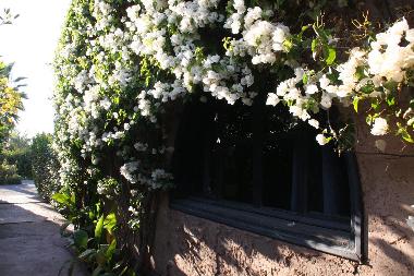 Chambre avec petit d�jeuner �/en/au marrakech (Marrakech)ou appartement ou maison de vacances