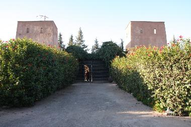 Chambre avec petit d�jeuner �/en/au marrakech (Marrakech)ou appartement ou maison de vacances