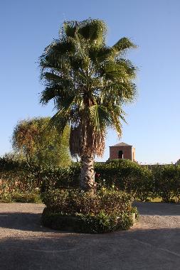 Chambre avec petit d�jeuner �/en/au marrakech (Marrakech)ou appartement ou maison de vacances