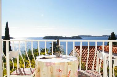 Villa /en/au Dubrovnik (Dubrovacko-Neretvanska)ou appartement ou maison de vacances