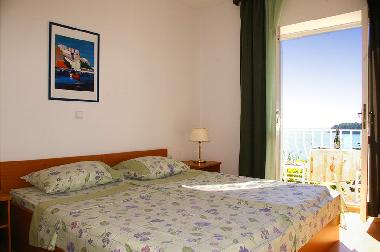 Villa /en/au Dubrovnik (Dubrovacko-Neretvanska)ou appartement ou maison de vacances