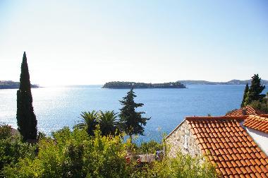 Villa /en/au Dubrovnik (Dubrovacko-Neretvanska)ou appartement ou maison de vacances
