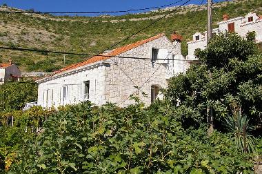 Villa /en/au Dubrovnik (Dubrovacko-Neretvanska)ou appartement ou maison de vacances