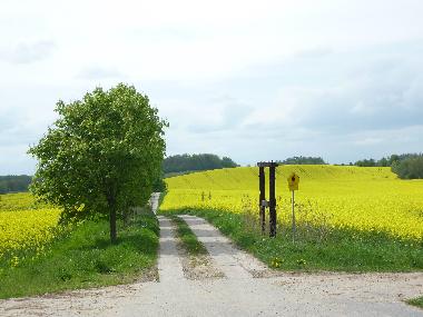 Maison de vacances /en/au Dahmen (Mecklenburgische Seenplatte)ou appartement ou maison de vacances
