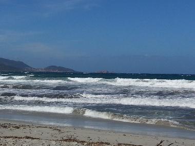 Appartement de vacances /en/au Lama (Haute-Corse)ou appartement ou maison de vacances