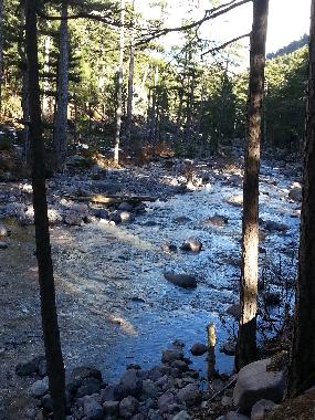 Appartement de vacances /en/au Lama (Haute-Corse)ou appartement ou maison de vacances