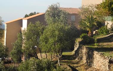 Appartement de vacances /en/au Lama (Haute-Corse)ou appartement ou maison de vacances