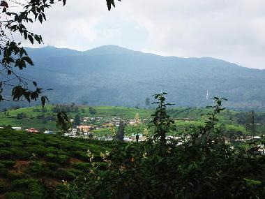 Maison de vacances �/en/au Nuwaraeliya (Nuwara Eliya)ou appartement ou maison de vacances