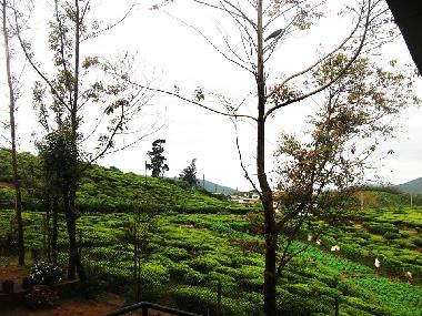 Maison de vacances �/en/au Nuwaraeliya (Nuwara Eliya)ou appartement ou maison de vacances