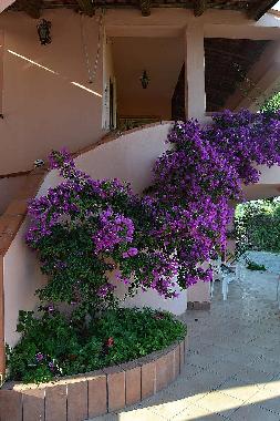 Maison de vacances /en/au Casal Velino (Salerno)ou appartement ou maison de vacances