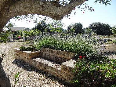 Maison de vacances �/en/au Francavilla Fontana (Brindisi)ou appartement ou maison de vacances