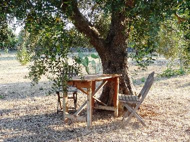 Maison de vacances �/en/au Francavilla Fontana (Brindisi)ou appartement ou maison de vacances