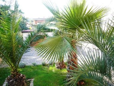 Appartement de vacances /en/au Lovran (Primorsko-Goranska)ou appartement ou maison de vacances