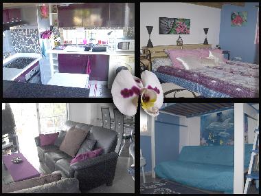 Villa �/en/au Ravine des Cabris (R�union)ou appartement ou maison de vacances