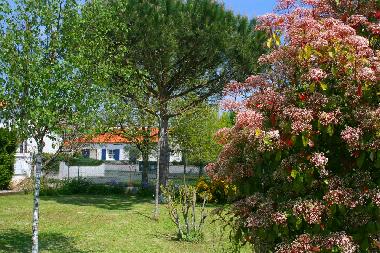 Appartement de vacances �/en/au Dompierre sur mer (Charente-Maritime)ou appartement ou maison de vacances