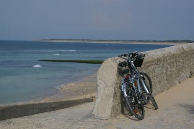 Appartement de vacances �/en/au Dompierre sur mer (Charente-Maritime)ou appartement ou maison de vacances