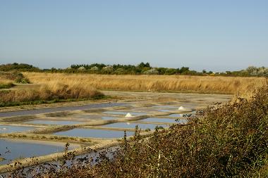 Appartement de vacances �/en/au Dompierre sur mer (Charente-Maritime)ou appartement ou maison de vacances