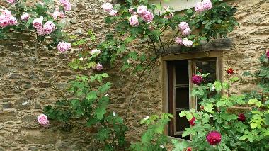 Maison de vacances /en/au Ortigueira (A Corua)ou appartement ou maison de vacances