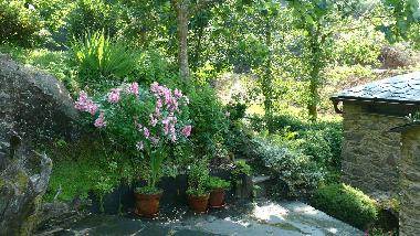 Maison de vacances /en/au Ortigueira (A Corua)ou appartement ou maison de vacances