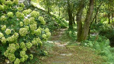 Maison de vacances /en/au Ortigueira (A Corua)ou appartement ou maison de vacances