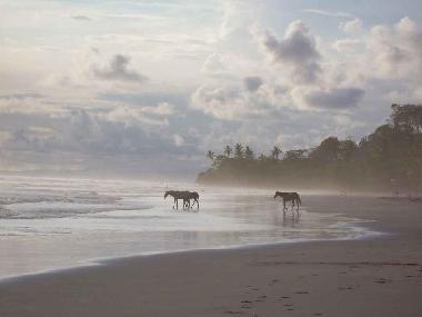 Villa �/en/au Mal Pa�s (Puntarenas)ou appartement ou maison de vacances