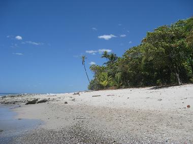 Villa �/en/au Mal Pa�s (Puntarenas)ou appartement ou maison de vacances