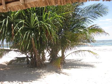 Villa �/en/au Watamu (Coast)ou appartement ou maison de vacances