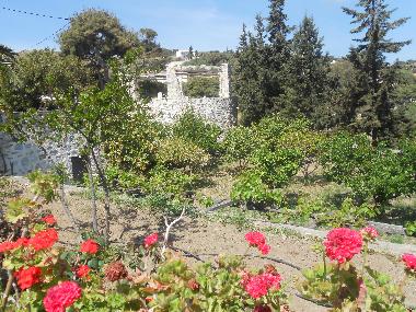 Villa �/en/au Chroussa (Kyklades)ou appartement ou maison de vacances