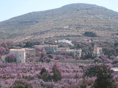 Villa �/en/au Chroussa (Kyklades)ou appartement ou maison de vacances