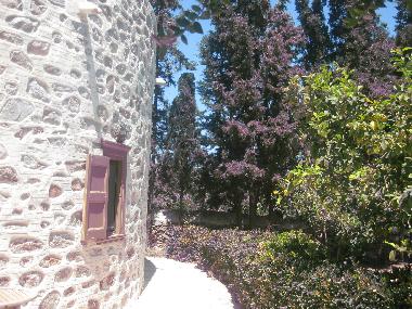 Villa �/en/au Chroussa (Kyklades)ou appartement ou maison de vacances