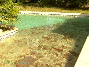 Villa /en/au regusse (Var)ou appartement ou maison de vacances