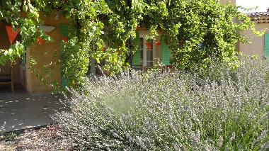 Villa /en/au REGUSSE (Var)ou appartement ou maison de vacances