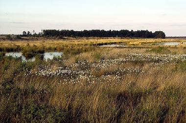 Maison de vacances /en/au Rhauderfehn (Nordsee-Festland / Ostfriesland)ou appartement ou maison de vacances