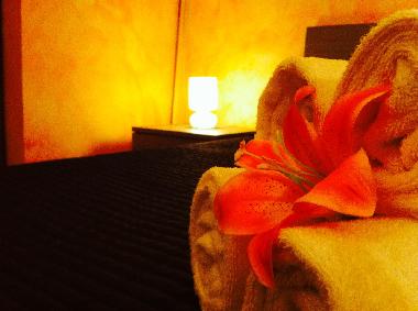 Appartement de vacances /en/au Rome (Roma)ou appartement ou maison de vacances