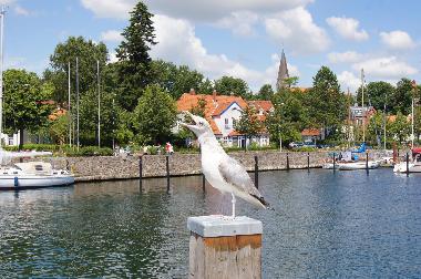 Maison de vacances �/en/au Waabs (Ostsee-Festland)ou appartement ou maison de vacances