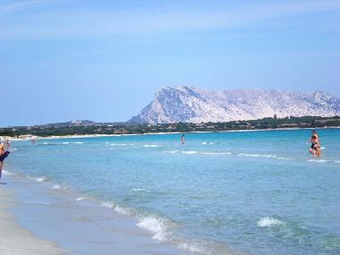 Appartement de vacances /en/au San Teodoro (Nuoro)ou appartement ou maison de vacances