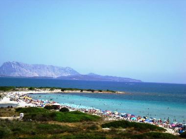 Appartement de vacances /en/au San Teodoro (Nuoro)ou appartement ou maison de vacances