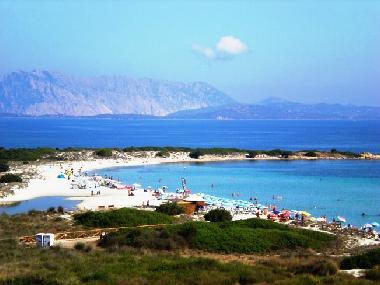 Appartement de vacances /en/au San Teodoro (Nuoro)ou appartement ou maison de vacances