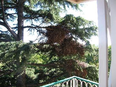 Appartement de vacances /en/au Rome (Roma)ou appartement ou maison de vacances