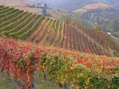 Maison de vacances �/en/au Alba (Cuneo)ou appartement ou maison de vacances