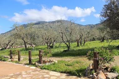 Maison de vacances �/en/au Torretta (Palermo)ou appartement ou maison de vacances