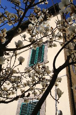 Appartement de vacances /en/au Lucca (Lucca)ou appartement ou maison de vacances