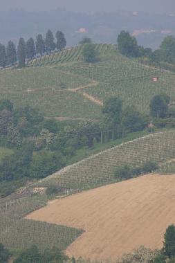 Maison de vacances �/en/au Canale (Cuneo)ou appartement ou maison de vacances