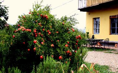 Maison de vacances �/en/au Canale (Cuneo)ou appartement ou maison de vacances