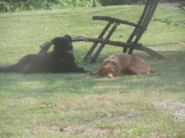 Chambre avec petit d�jeuner �/en/au Canale (Cuneo)ou appartement ou maison de vacances