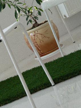 Appartement de vacances �/en/au Odessa (Odes