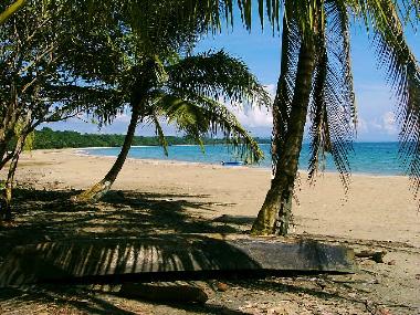 Maison de vacances �/en/au Manzanillo (Limon)ou appartement ou maison de vacances