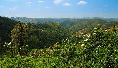 Maison de vacances /en/au Monchique (Algarve)ou appartement ou maison de vacances