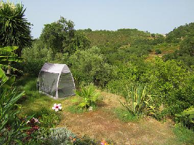 Maison de vacances /en/au Monchique (Algarve)ou appartement ou maison de vacances